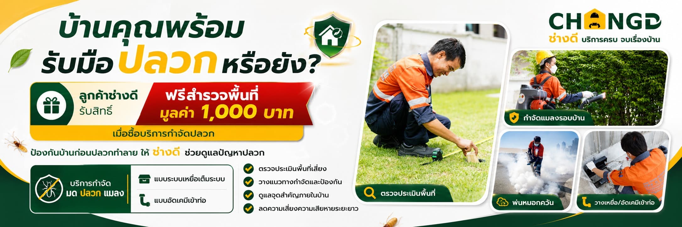 กำจัดปลวก