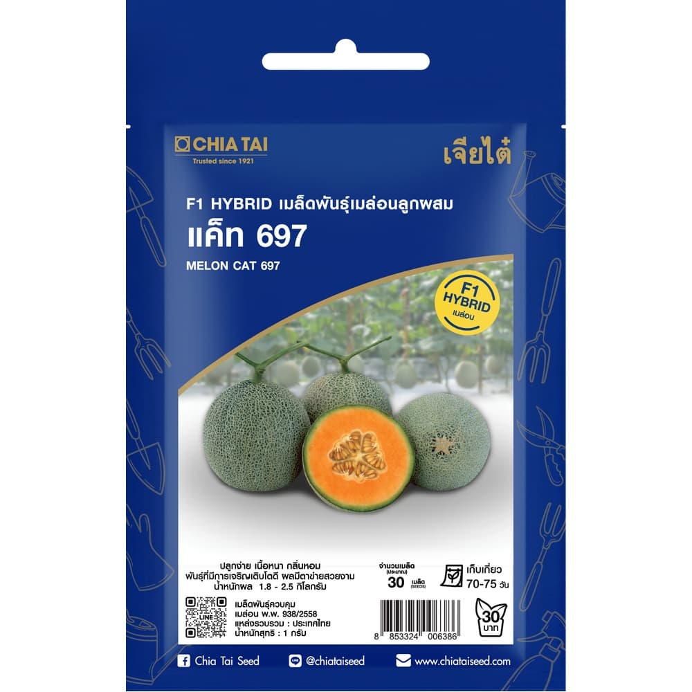 เจียไต๋ เมล็ดพันธุ์- เมล่อนลูกผสม แค็ท 697 F1 Hybrid