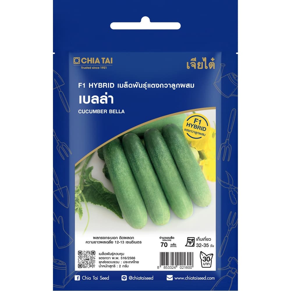 เจียไต๋ เมล็ดพันธุ์- แตงกวาลูกผสม เบลล่า F1 Hybrid