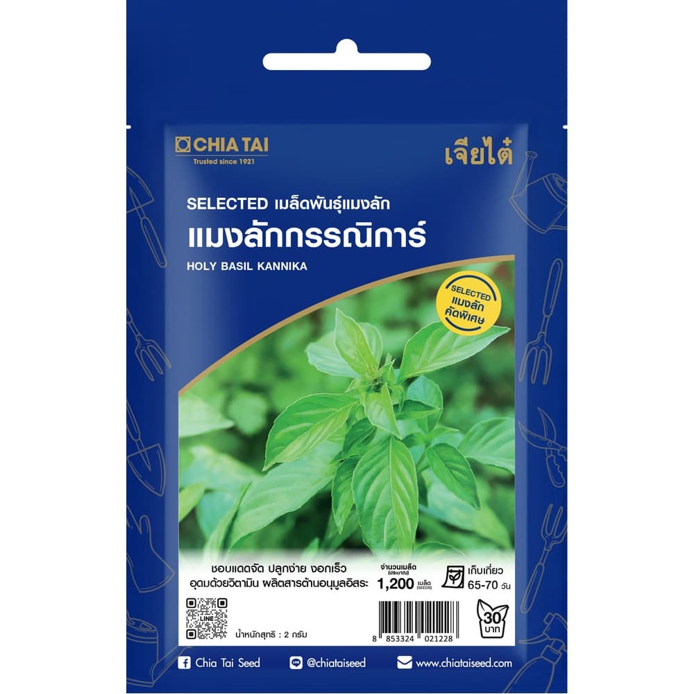 เจียไต๋ เมล็ดพันธุ์- แมงลัก กรรณิการ์ คัดพิเศษ