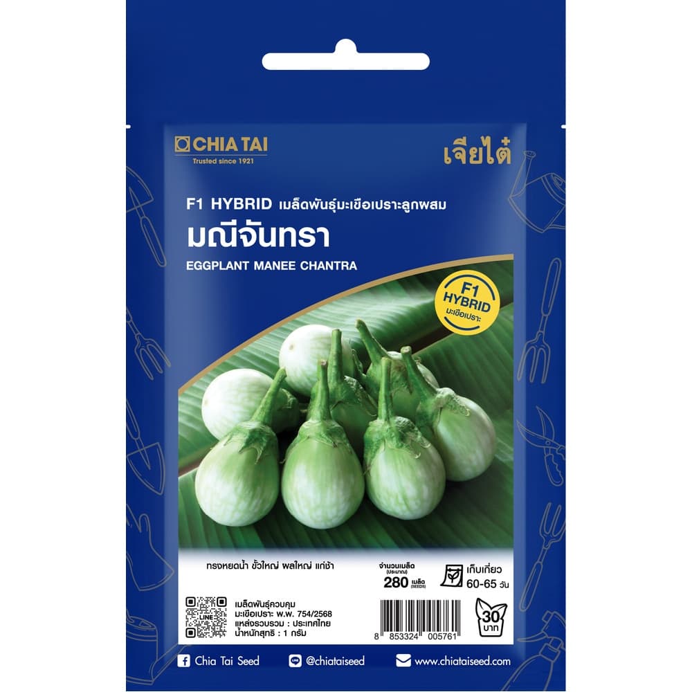 เจียไต๋ เมล็ดพันธุ์- มะเขือเปราะลูกผสม มณีจันทรา F1 Hybrid