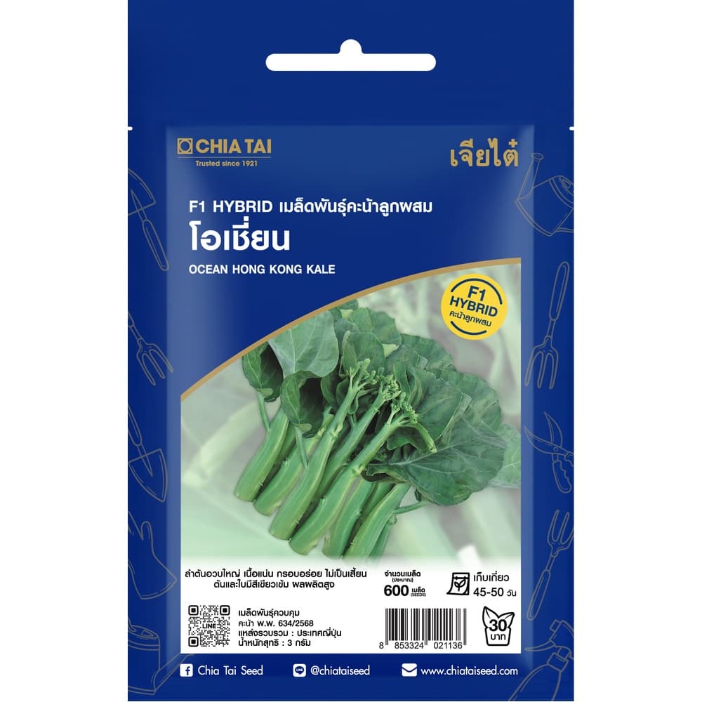เจียไต๋ เมล็ดพันธุ์- คะน้าลูกผสม คะน้าฮ่องกง โอเชี่ยน F1 Hybrid
