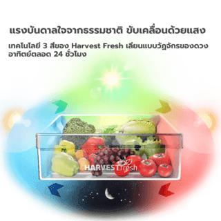 BEKO ตู้เย็น 2 ประตู ขนาด 6.5 คิว รุ่น RDNT200I50HFK สีเทาเข้ม 3