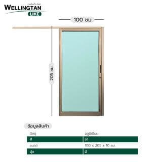 WELLINGTAN (LIKE) ประตูอะลูมิเนียม รางแขวน S-S W-AL/010 (กระจกเขียวใส) 100x205ซม. สีชา 4