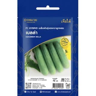 เจียไต๋ เมล็ดพันธุ์- แตงกวาลูกผสม เบลล่า F1 Hybrid 1