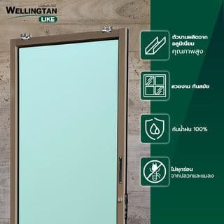 WELLINGTAN (LIKE) ประตูอะลูมิเนียม รางแขวน S-S W-AL/010 (กระจกเขียวใส) 100x205ซม. สีชา 2