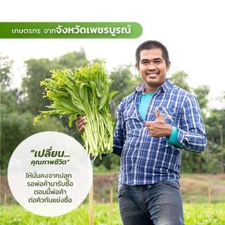 เจียไต๋ เมล็ดพันธุ์- ผักกาดกวางตุ้งลูกผสม กวางตุ้งดอก ขาวนวล F1 Hybrid 4
