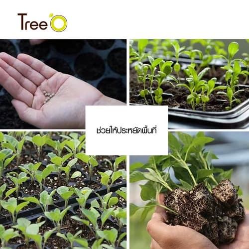 Tree’O ถาดเพาะชำ 105 หลุม  รุ่นJN105 35.5x54.5x3.8 ซม.  สีดำ 6