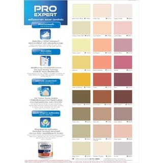 ทีโอเอ โปร เอ็กซ์เปิร์ต สีน้ำ ด้าน ทาฝ้าเพดาน #PM888 1 กล. สีเทา 6