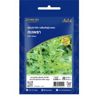 เจียไต๋ เมล็ดพันธุ์- กะเพราหอมรัญจวน คัดพิเศษ 1