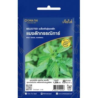 เจียไต๋ เมล็ดพันธุ์- แมงลัก กรรณิการ์ คัดพิเศษ