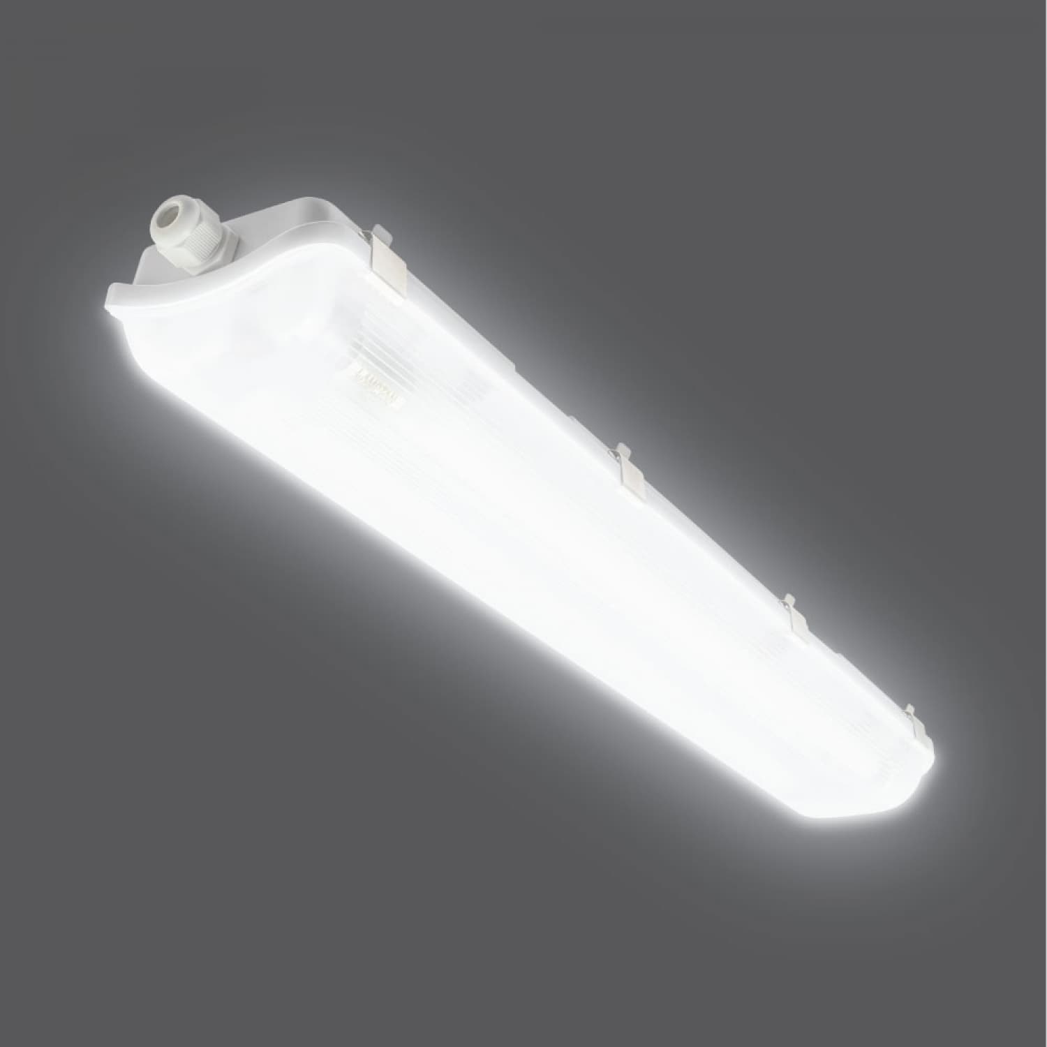 LAMPTAN โคมกันน้ำกันฝุ่นพร้อมหลอด LED T8 2X10W แสงเดย์ไลท์ รุ่นลิ้นการ์ด 5