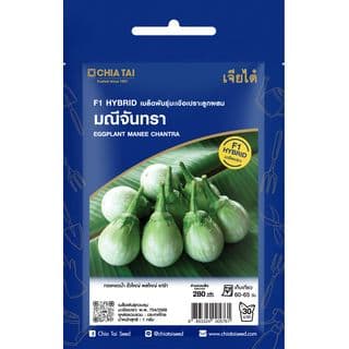 เจียไต๋ เมล็ดพันธุ์- มะเขือเปราะลูกผสม มณีจันทรา F1 Hybrid 1