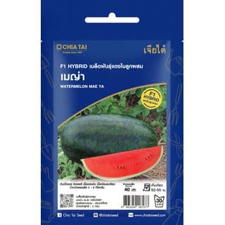 เจียไต๋ เมล็ดพันธุ์- แตงโมลูกผสม เมญ่า F1 Hybrid 1