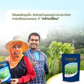 เจียไต๋ เมล็ดพันธุ์- ผักกาดกวางตุ้งลูกผสม กวางตุ้งดอก ขาวนวล F1 Hybrid 3