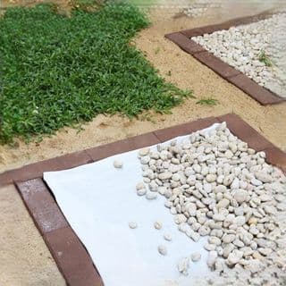 POLLO แผ่นใยสังเคราะห์ GEOTEXTILE 150G/Sq.M 2X10m. สีขาว 5