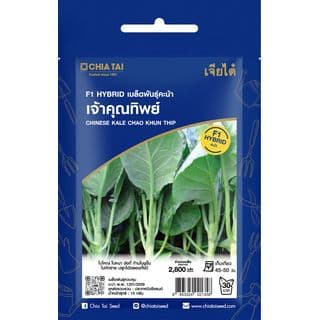 เจียไต๋ เมล็ดพันธุ์- คะน้า เจ้าคุณทิพย์ F1 Hybrid