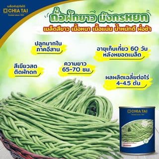 เจียไต๋ เมล็ดพันธุ์- ถั่วฝักยาวเมล็ดขาว มังกรหยก คัดพิเศษ 4