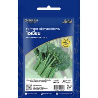 เจียไต๋ เมล็ดพันธุ์- คะน้าลูกผสม คะน้าฮ่องกง โอเชี่ยน F1 Hybrid 1