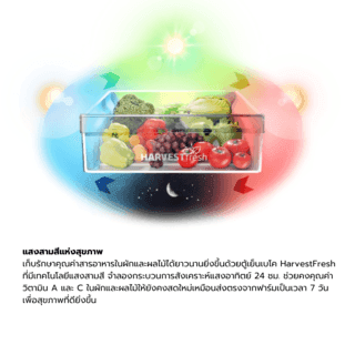BEKO ตู้เย็น 2 ประตู ขนาด 12 คิว รุ่น RDNT371I40VHFSGW สีกระจกขาว 3