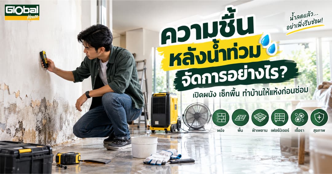ความชื้นหลังน้ำท่วม แก้อย่างไร? วิธีทำให้บ้านแห้ง ลดเชื้อราและกลิ่นอับ